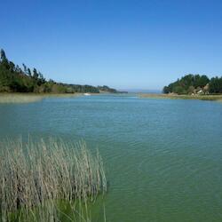 Lago Budi. Créditos: Lartundo.